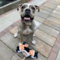 Thumbnail photo of Oz #1