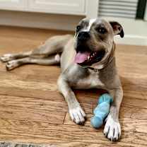 Thumbnail photo of Oz #3