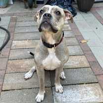 Thumbnail photo of Oz #4