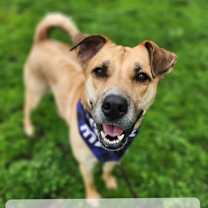 Thumbnail photo of Amara #1