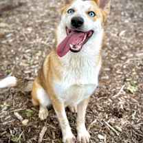 Thumbnail photo of Jasper #2