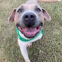 Thumbnail photo of Pixel #3