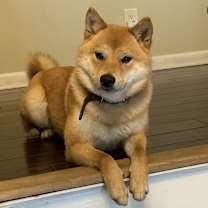 Thumbnail photo of Luna #1