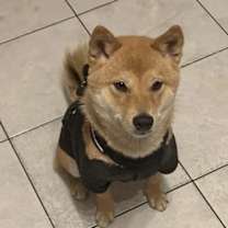 Thumbnail photo of Luna #3