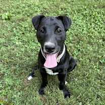 Thumbnail photo of Star #4