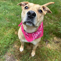 Thumbnail photo of Cedar #1