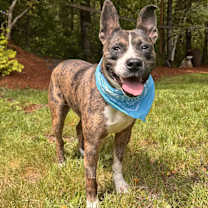 Thumbnail photo of Jackson #1