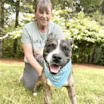 Thumbnail photo of Jackson #2