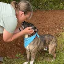 Thumbnail photo of Jackson #4