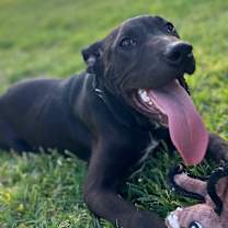 Thumbnail photo of Neo #1