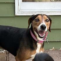 Thumbnail photo of Dyan #1