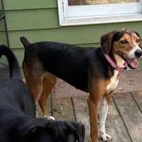 Thumbnail photo of Dyan #2