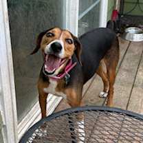 Thumbnail photo of Dyan #3