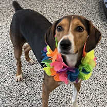 Thumbnail photo of Dyan #4