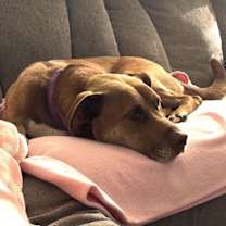 Thumbnail photo of Bread #2