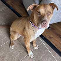 Thumbnail photo of Bread #3