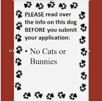 Thumbnail photo of Bread #4