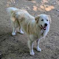 Thumbnail photo of Muk #1