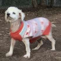 Thumbnail photo of Tashi #3