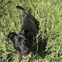 Thumbnail photo of Griff #2