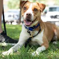 Thumbnail photo of TEX #3