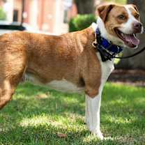 Thumbnail photo of TEX #4