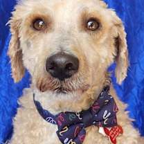 Thumbnail photo of Max Darien #1