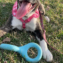 Thumbnail photo of Hela #2