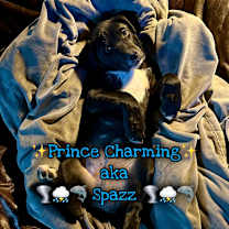 Thumbnail photo of Prince Charm #2
