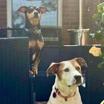 Thumbnail photo of Rebecca Cuddles can't wait to snuggle the day away! #3