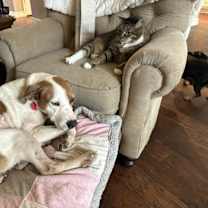 Thumbnail photo of Rebecca Cuddles can't wait to snuggle the day away! #4