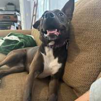 Thumbnail photo of Wafer #2