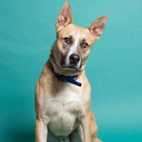 Thumbnail photo of Juniper #2