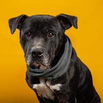 Thumbnail photo of Auto #2