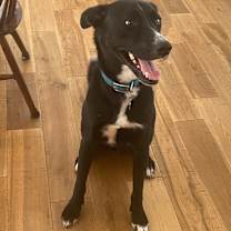 Thumbnail photo of BamBam #3