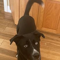 Thumbnail photo of BamBam #4