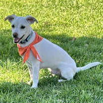 Thumbnail photo of Richie #1