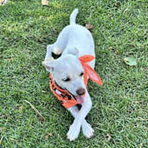 Thumbnail photo of Richie #3