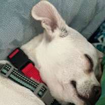 Thumbnail photo of Richie #4