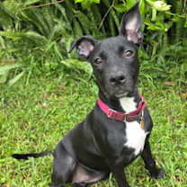 Thumbnail photo of Elphie #4