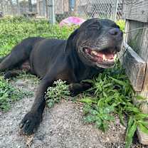 Thumbnail photo of Marty #1