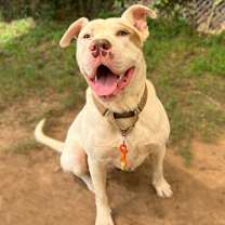 Thumbnail photo of Scotty #2