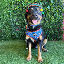 Thumbnail photo of Tomas #4