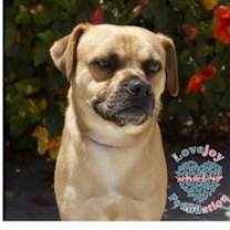 Thumbnail photo of Ramen 369 RB #4