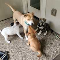 Thumbnail photo of Darling Delilah so Demure and dainty #2