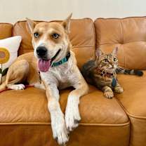 Thumbnail photo of Darling Delilah so Demure and dainty #4