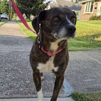 Thumbnail photo of Lulu #1