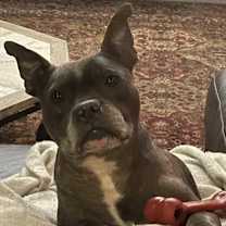 Thumbnail photo of Oscar #1