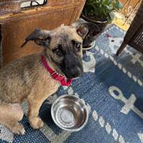 Thumbnail photo of BUTTER #3