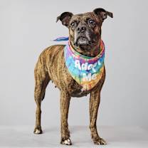 Thumbnail photo of Zerega #2